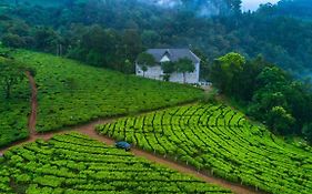 Tea Harvester