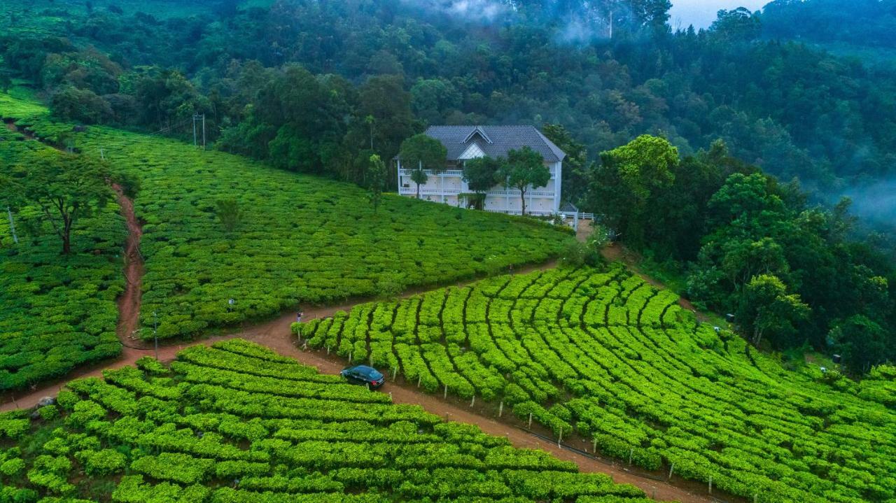 Tea Harvester Муннар Экстерьер фото